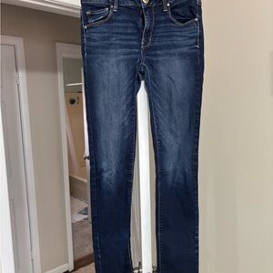 American Eagle Outfitters Blue Skinny Jeans